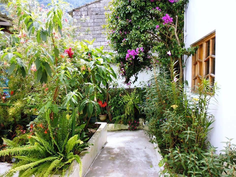 Hostal Timara 바뇨스 외부 사진